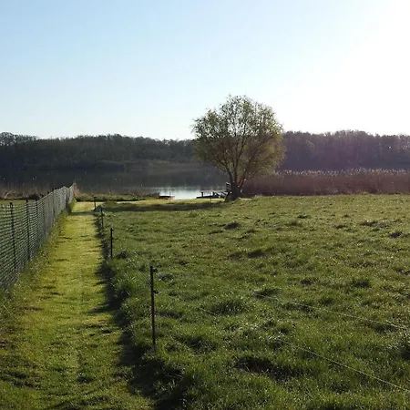 Ferienwohnung-mueritzkoje-an-der-mueritz Apartment